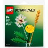 Botanicals Fiori di campo, Giochi di costruzione