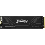 2T FURY RENEGADE G5 M.2 2280 NVMe SSD, Disco a stato solido