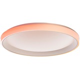 Lampada da soffitto T1M, Luce LED