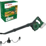 LeafBlower Ioni di Litio, Soffiatore