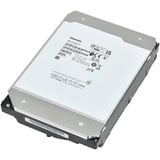 MG11ACA 22 TB, Hard-disk