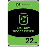 Seagate Exos 22 TB Ricondizionato, Hard-disk 