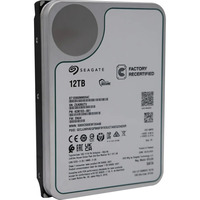 Seagate Exos X18 12 TB Ricondizionato, Hard-disk 