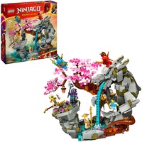 LEGO NINJAGO 71819 Santuario della Pietra del Drago Giocattolo, Giochi per Bambini 13+, 6 Minifigure e Campo di Addestramento, Giochi di costruzione Giochi per Bambini 13+, 6 Minifigure e Campo di Addestramento, Set da costruzione, 13 anno/i, Plastica, 1212 pz, 1,62 kg