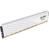 ADATA DIMM 24 GB DDR5-6000, Memoria bianco