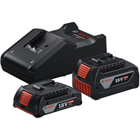 Bosch Set di avvio 18V (GBA 18V 4,0/2,0Ah + GAL 18V-40 Professional) Nero