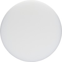 Bosch 1608613013 Disco per lucidatura, Rotella di lucidatura Disco per lucidatura, 16 cm, Bianco