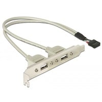 DeLOCK Slotbracket 1x internal USB 5pin > 2x USB2.0 external cavo USB 0,3 m USB A Bianco, Staffa slot grigio, 0,3 m, USB A, Bianco