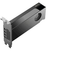 PNY NVIDIA RTX PRO 2000 Blackwell Generation 16GB PB, Scheda grafica Bulk