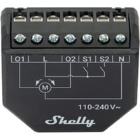 Shelly Persiana, Relè Nero