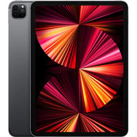 Apple iPad Pro 11" Ricondizionato, Tablet PC grigio
