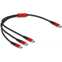 DeLOCK 86712 cavo USB 0,3 m USB 2.0 USB C 3x USB C Nero, Rosso Nero/Rosso, 0,3 m, USB C, 3x USB C, USB 2.0, Nero, Rosso