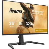 iiyama G-MASTER GB2591HSU-B1, Monitor di gioco Nero (opaco)