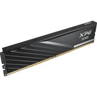 ADATA DIMM 24 GB DDR5-6000, Memoria Nero