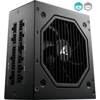 Sharkoon Rebel P20 1000W, Alimentatore PC Nero