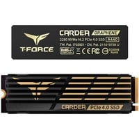 Team Group CARDEA A440 1 TB, Disco a stato solido Nero/Oro