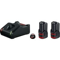 Bosch 1 600 A01 9RD batteria e caricabatteria per utensili elettrici Set batteria e caricabatterie Nero, Set batteria e caricabatterie, Ioni di Litio, 3 Ah, 12 V, Bosch, Nero