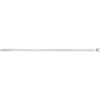 fischer 87479 fascetta Fascetta per scala Nylon Trasparente, Fascette ferma-cavo trasparente, Fascetta per scala, Nylon, Trasparente, 12 cm, 2,5 mm