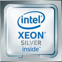 Intel® Xeon 4210R processore 2,4 GHz 13,75 MB Intel® Xeon® Silver, FCLGA3647, 14 nm, Intel, 4210R, 2,4 GHz, Vassoio