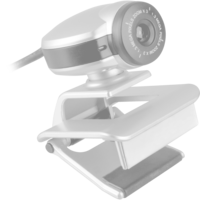 Logitech BRIO 305, Webcam grafite